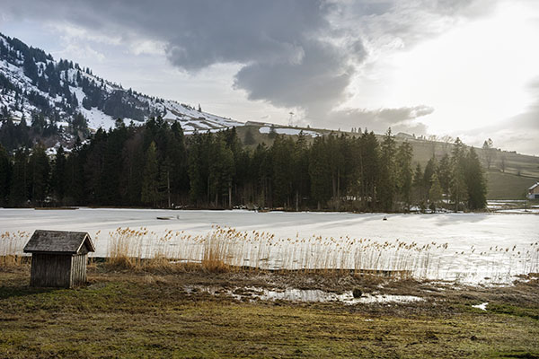 Toggenburg