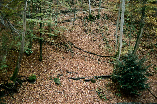 Elefantenbach